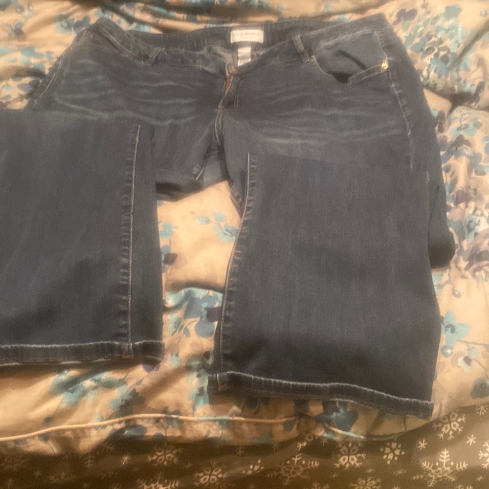 Lane Bryant jeans size 24 hardly worn